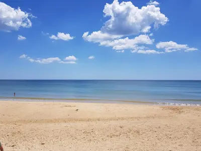 a person standing on a beach with the ocean at Algarve Apartment Falésia in Albufeira