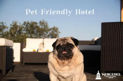 a pug dog sitting in front of a porch at Mercedes Country House in Faro