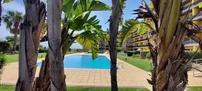 a view of a swimming pool between trees at Parque Atlântico in Quarteira