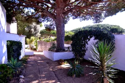 a tree sitting next to a white fence with plants at Sailing Studio Açoteias in Albufeira