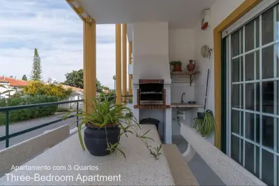 a balcony with a plant in a pot on a building at Akisol Albufeira Falesia IV in Albufeira