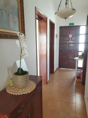 a room with a plant in a pot on a table at Apartment on The Strip Albufeira in Albufeira