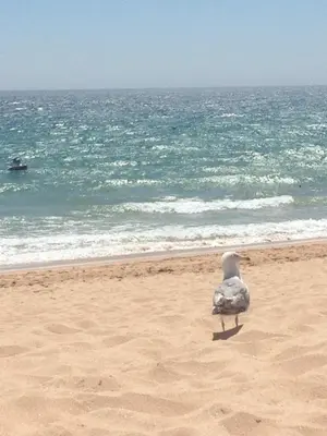 Gallery image of Praia dos Salgados - Vila das Lagoas in Albufeira