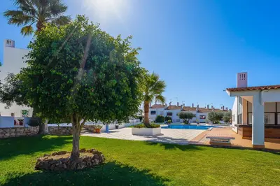 a tree in a yard in front of a house at Apartamento Yacintos in Albufeira