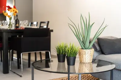 a living room with a glass table with plants on it at Apartamento Yacintos in Albufeira
