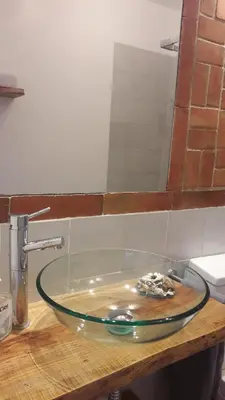 a bathroom with a shower and a sink at Cosy Country House in Cerro da Cova