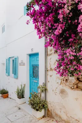a blue door and flowers on a white building at Home Santa Clara in Albufeira