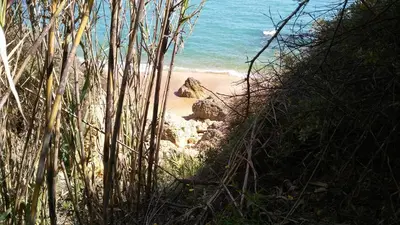 a path leading to a beach with the ocean at Villa Lena in Albufeira