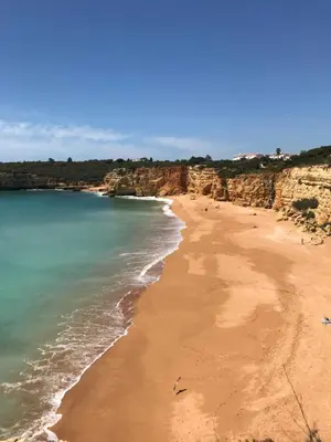 a view of a beach next to the ocean at Apartment Albufeira Algarve in Albufeira