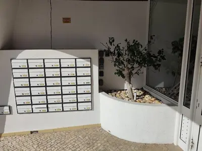 a room with a potted tree in a pot at Praia dos Aveiros T1 - Albufeira INN in Albufeira