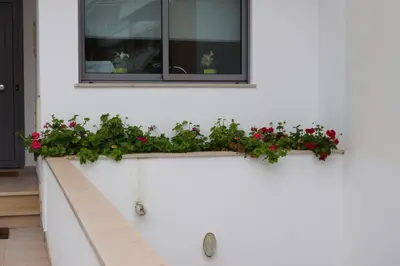 a window ledge with geraniums on a house at Vila Branca in Albufeira