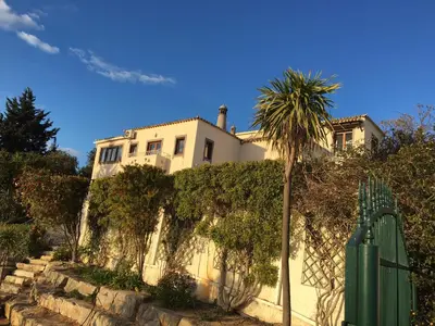 a white house with a palm tree in front of a fence at Felicidade in Loulé