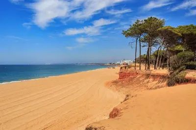 a sandy beach with trees and the ocean at Marina Vilamoura - Aquamar 403 by Vilamoura Sun in Vilamoura