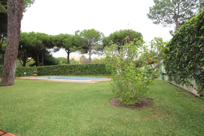 a small bush in a yard with a swimming pool at Algarvila in Vilamoura