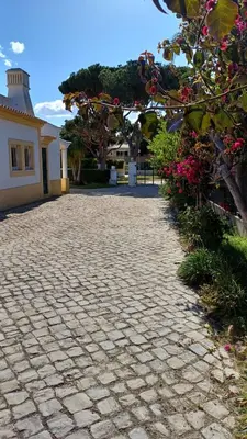 a brick driveway in front of a house with flowers at The Pinewood Villa in Vilamoura