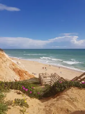 a beach with people and the ocean in the background at GelbBlau Falésia in Albufeira