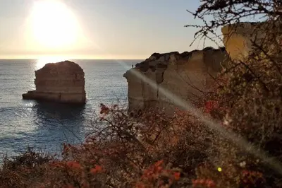 a view of the ocean with a rock in the water at Albufeira, Cerro Branco (41) in Albufeira