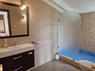 a bathroom with a sink and a shower at Quinta Sabaudia in Gateiras