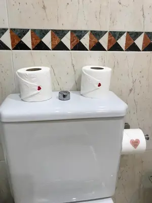 two rolls of toilet paper sitting on top of a toilet at Alameda Garden in Faro