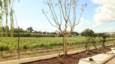 Gallery image of Glenridge By Albufeira Rental in Albufeira
