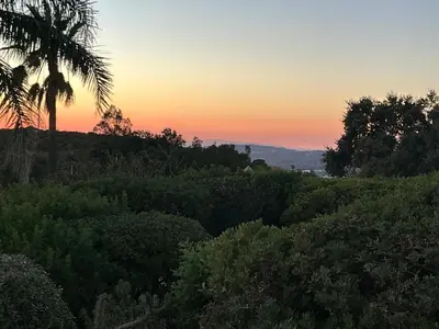 a sunset over a field of trees with a palm tree at Monte Borboleta - Villas, Apartments in Faro