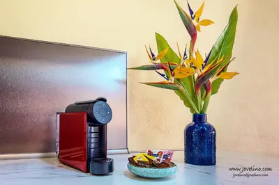 a table with a coffee maker and a vase with flowers at Estrela do Mar in Albufeira