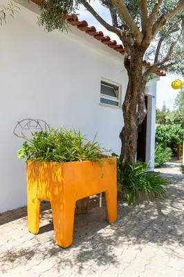 an orange bench with plants in it next to a tree at Apartamentos Flor da Laranja, Albufeira by AlgarveBlossom in Albufeira
