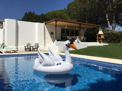 two swans in the water in a swimming pool at Villa Zen - beautiful private pool-heating option, hot tub, beautiful garden in Albufeira