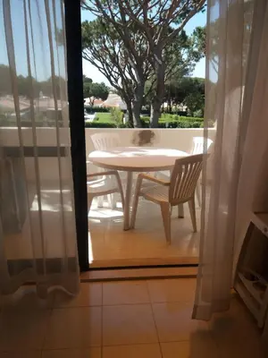 a cat sitting on a table on a patio at A Apartmento Solar dos Pinheiros in Vilamoura