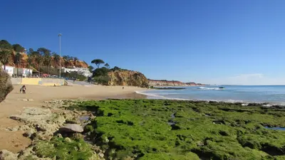 a beach with green plants and the ocean at Vista das Ondas in Albufeira