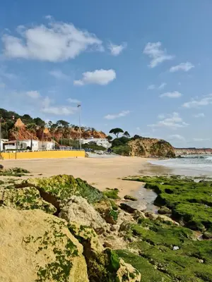 a beach with rocks and the ocean on a sunny day at Vista das Ondas in Albufeira