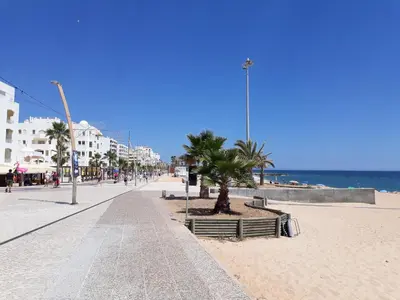 a sandy beach with palm trees and the ocean at COLINA FÉRIAS- Garagem & WIFI in Quarteira