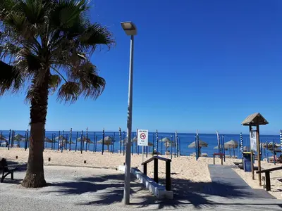 a beach with a palm tree and a street light at TORRE 14 Vista Magnifica in Quarteira