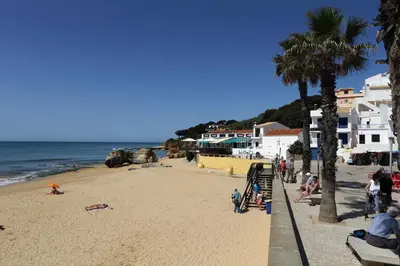 a beach with palm trees and people on the beach at Mira Parque in Albufeira