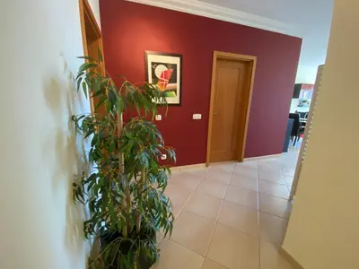 a hallway with a plant and a red wall at Apartamento Vista Golfe Mar Vilamoura in Vilamoura