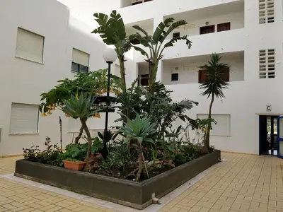 a courtyard with trees and plants in front of a building at Oceanides Beachfront Apartments in Quarteira