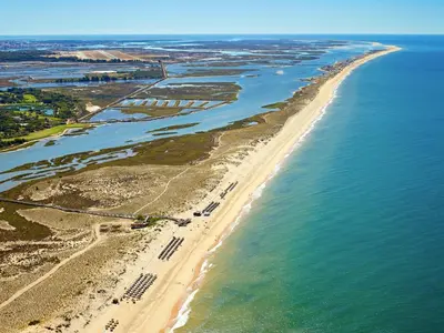 an aerial view of a beach and the ocean at Ria Park Garden Hotel in Vale do Lobo