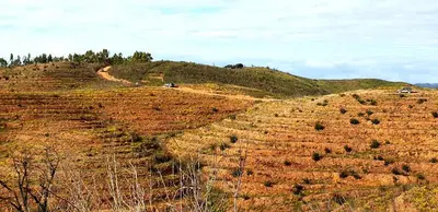 auliculiculiculiculiculiculiculiculiculiculiculiculiculiculic at Quinta Pedra Dos Bicos in Albufeira