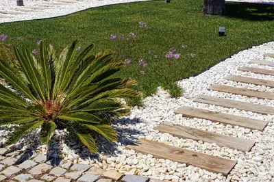 a garden with a palm tree and a walkway at Zodiaco in Quarteira