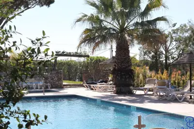 a swimming pool with a palm tree and chairs at Hotel Pinhal do Sol in Quarteira