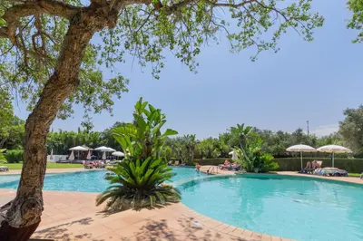 a large swimming pool with a tree and umbrellas at Balaia Golf Village in Albufeira