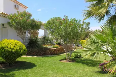 a garden with palm trees and plants in front of a house at Quinta Das Flores, Lote 9 in Albufeira