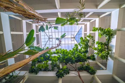a room filled with plants and a window at Vila Petra in Albufeira