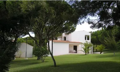 a white house with a tree in a yard at Aldeia Da Falesia in Albufeira