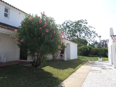 a tree with pink flowers on it next to a house at Aldeia Da Falesia in Albufeira