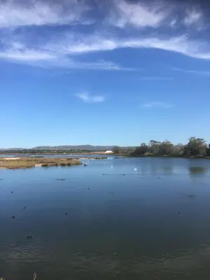 a large body of water with birds in it at Victory Village 2A in Quinta do Lago