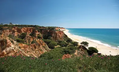 an aerial view of a resort with a swimming pool and a beach at PortoBay Falesia in Albufeira