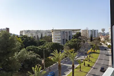 a city street with palm trees and buildings at Apartamento Gulbenkian in Faro