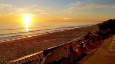a beach with potted plants and the ocean at sunset at Albufeira Ocean Terrace (31) in Albufeira