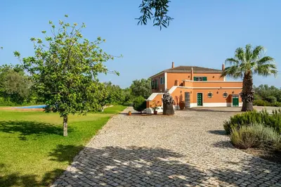 a house with a palm tree and a gravel driveway at Quinta das Figueiras - Bordeira - Faro in Bordeira